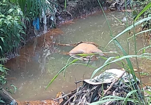 Corpo é encontrado por jovens que brincavam próximo a igarapé no Amazonas