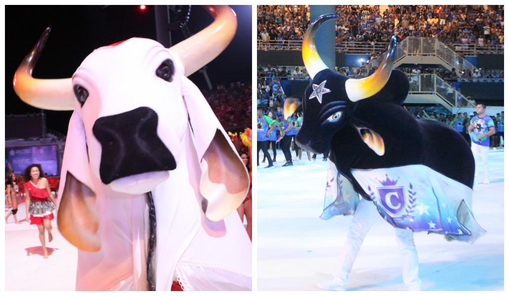 Tv Acrítica promete a maior transmissão de todos os tempos do Festival de Parintins