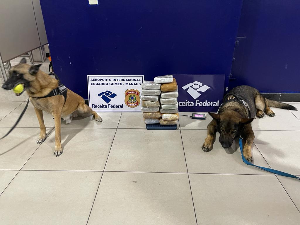 Droga é encontrada em polpas de açaí no aeroporto de Manaus