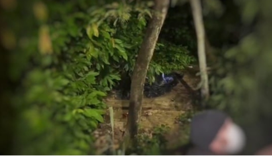 Corpo é encontrado dentro de saco preto em área de mata no Dom Pedro