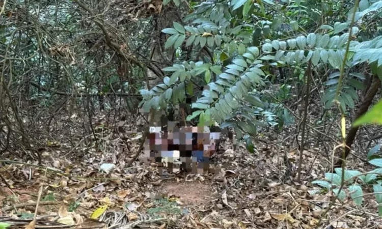 Corpo decapitado é encontrado em área de mata em Manaus