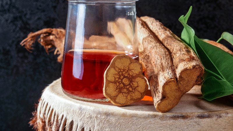 Juiz proíbe que criança tome chá de Ayahuasca em cultos com a mãe