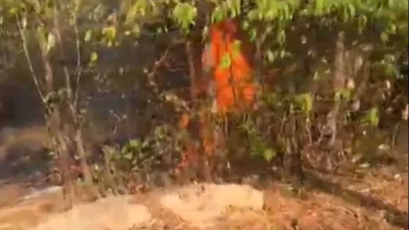 VÍDEO: Área de mata é atingida por incêndio na Avenida Djalma Batista